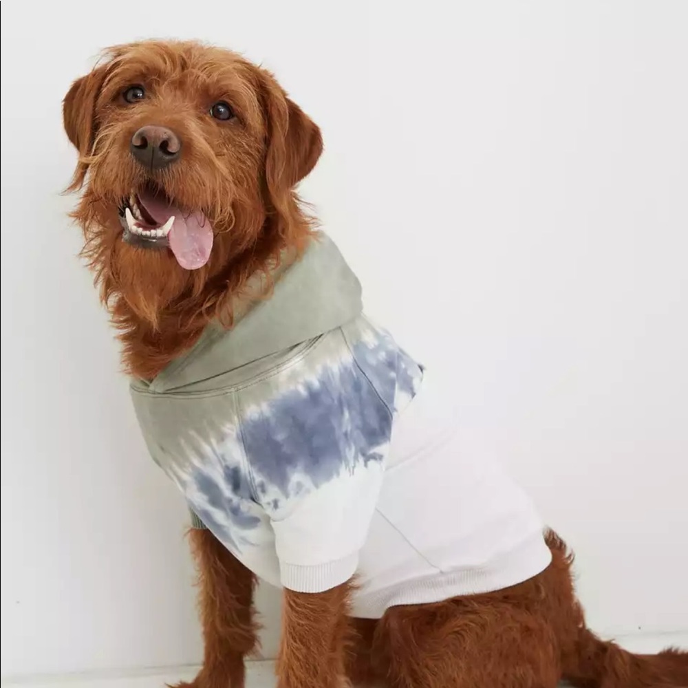 Aerie dog sweatshirt